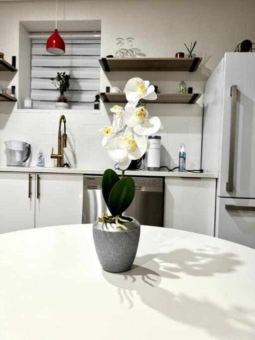 Luxury and cozy 1 Bed Condo in the heart of Providence - Housity