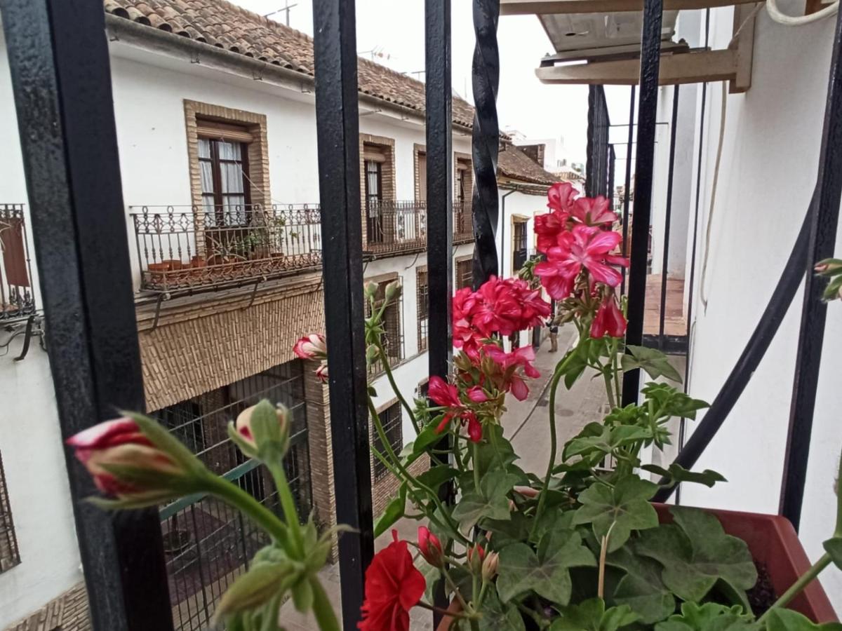 La Antigua Posada 33 - Housity