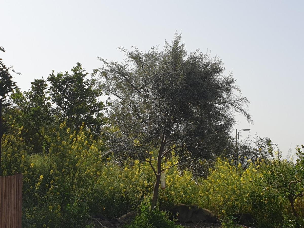 אביב יחידות אירוח - Housity