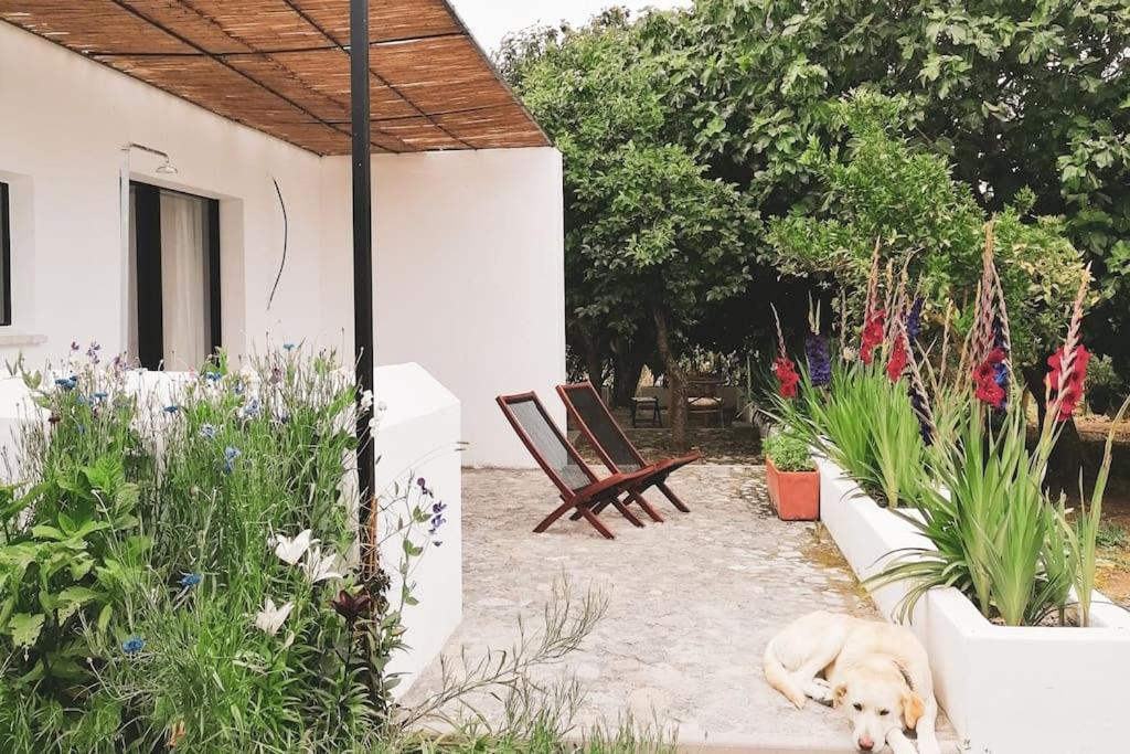 Lobeira - Centenary country house and gardens - Housity