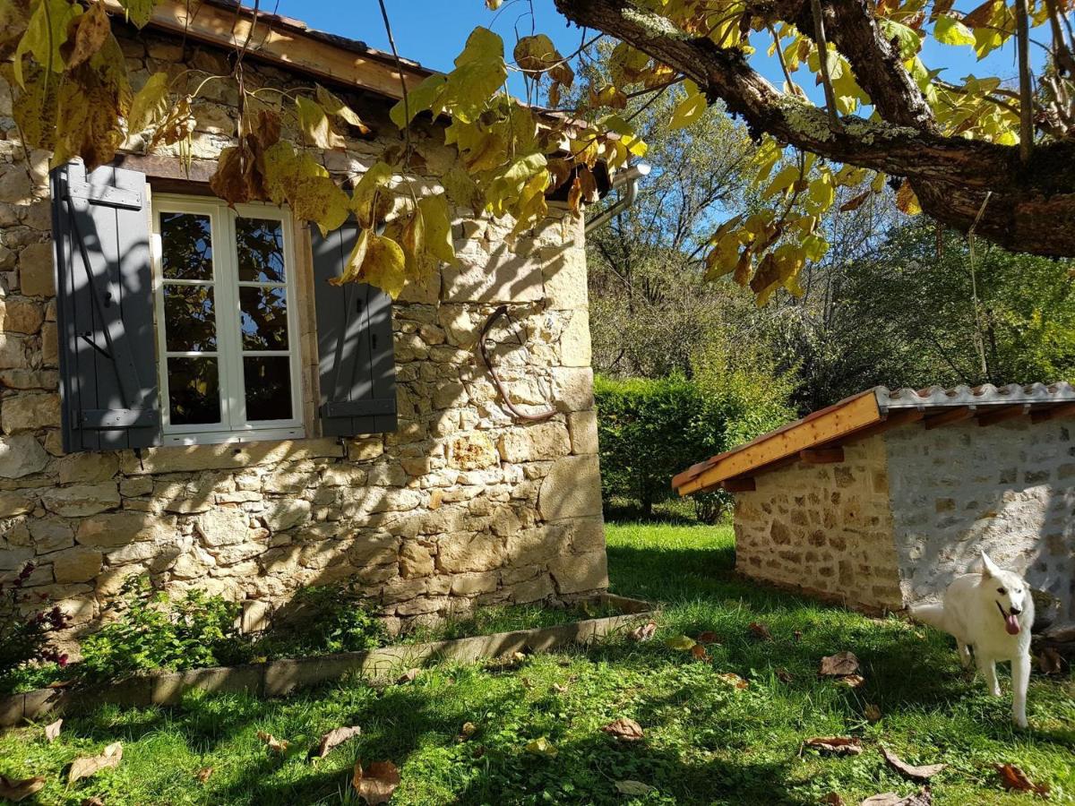 Le petit hangar - Housity