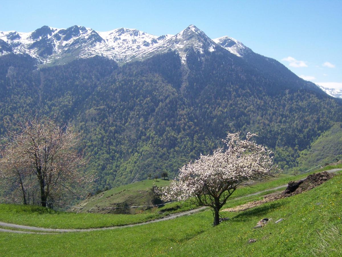 Paisaje cerca de este hotel