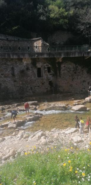 Suitetrails - Le Valhalla, studio au pied des thermes