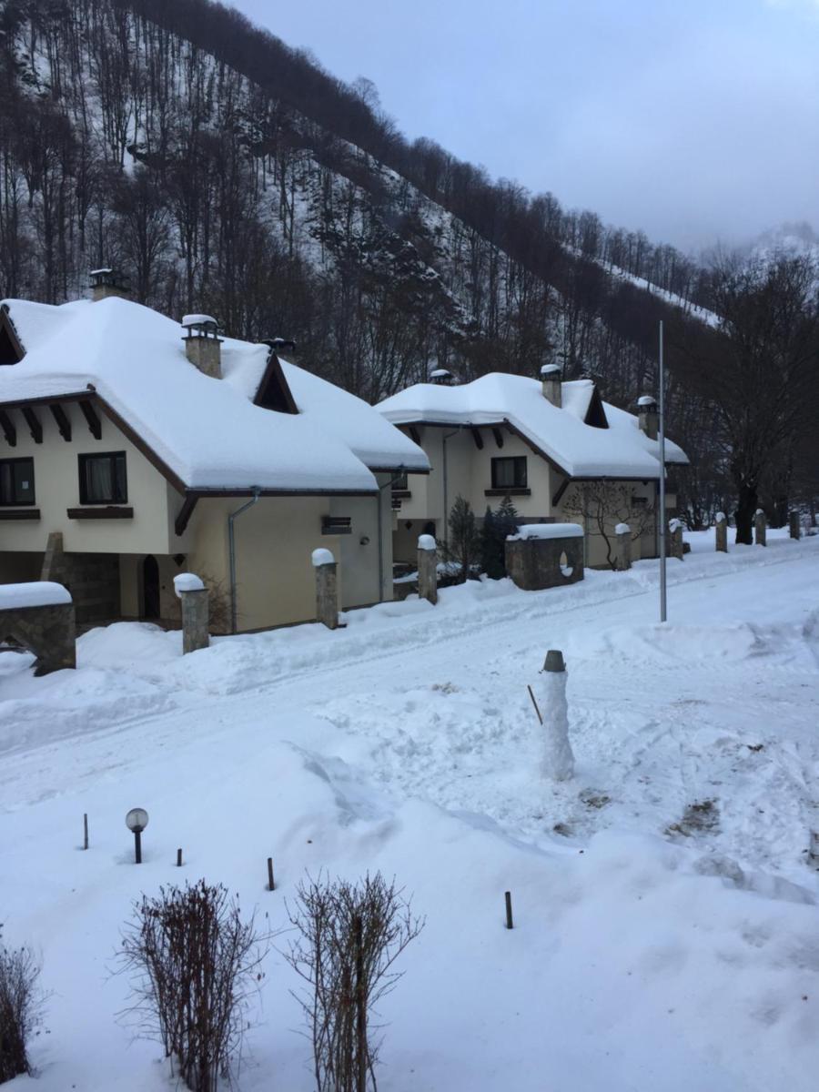 Балкан вили - Housity