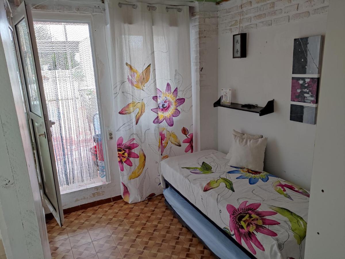 Casa tere - Housity