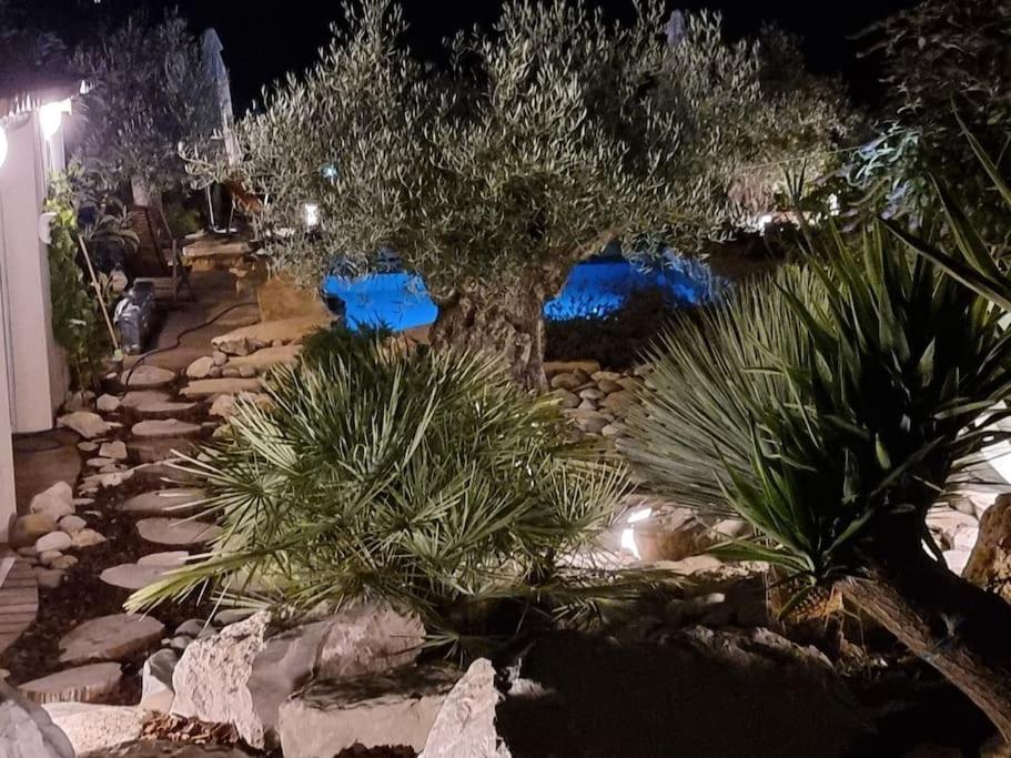 Une Oasis au Pays de Cézanne - Housity