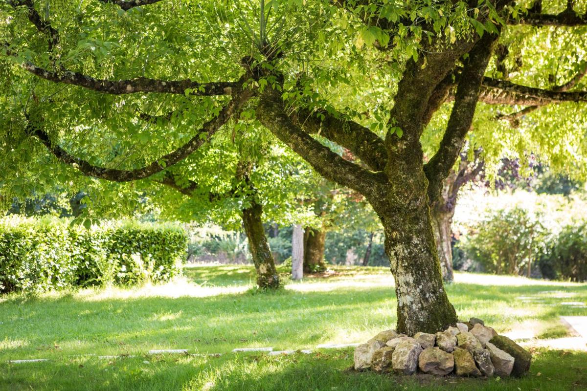 Jardin de l'établissement Château de Maraval