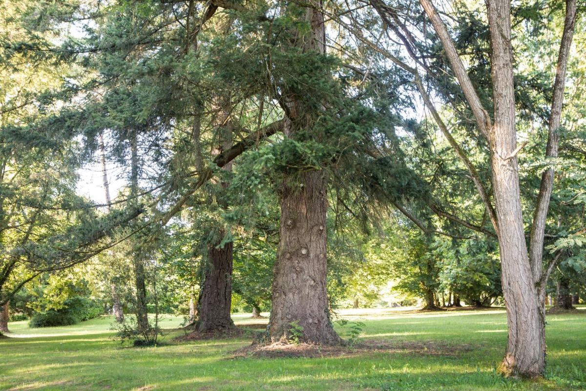 Jardin de l'établissement Château de Maraval
