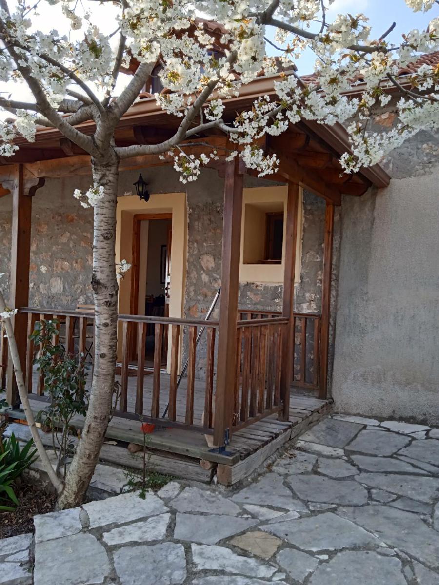 Arcadianis lakeview villa at Psari Arkadias - Housity