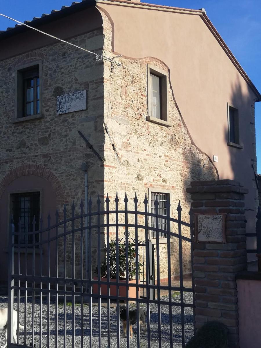 L'Aia degli olivi - Housity