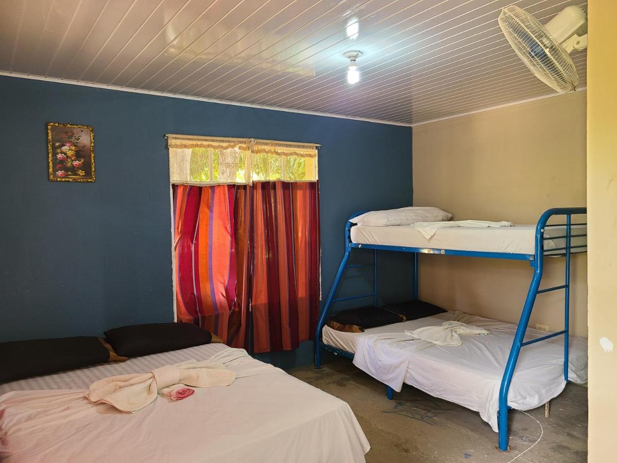 Sophie House - Housity