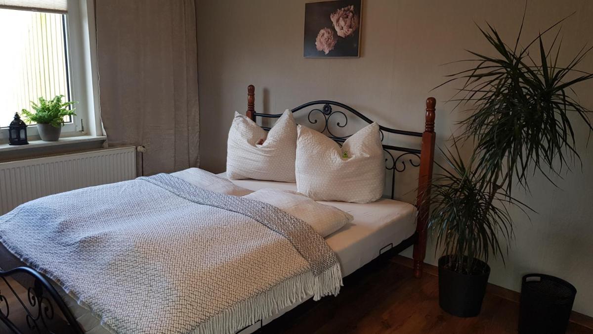 Ferienwohnung Malu Sol im Harz - stilvoll, gemütlich, tierfreundlich - mit Garten - Housity