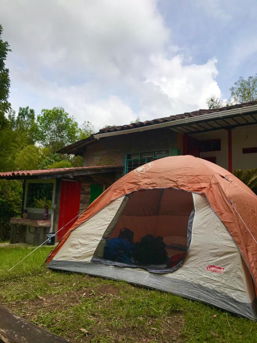 Ecohostal Las Camelias - Housity