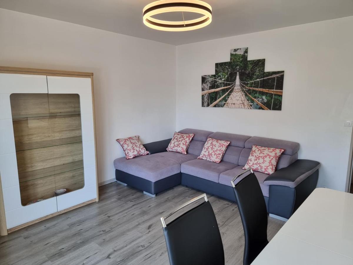 Appartement lumineux et cosy à Chaville. - Housity