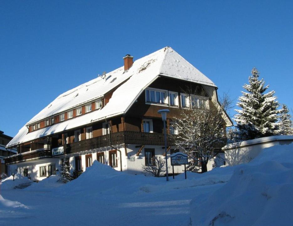 Idyllisch gelegene Ferienwohung mitten im Luftkurort Höchenschwand - Housity