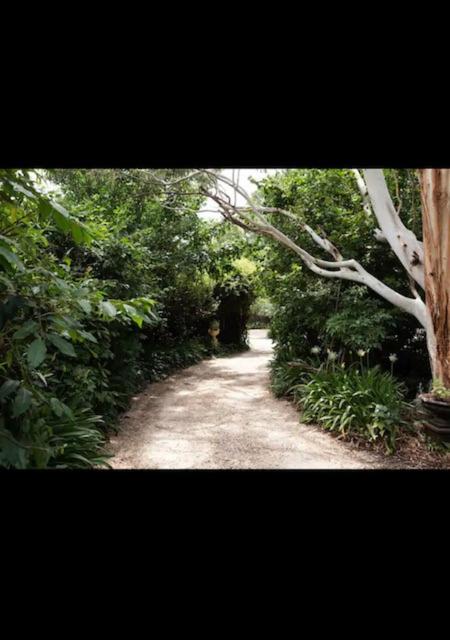 Oliver's potting shed - Housity
