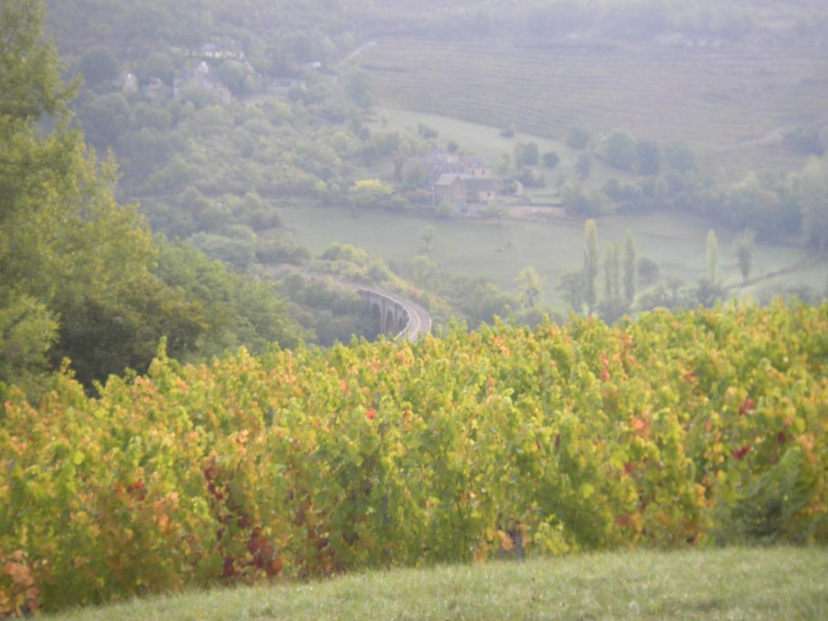 maison isolée dans les vignes et les bois - Housity