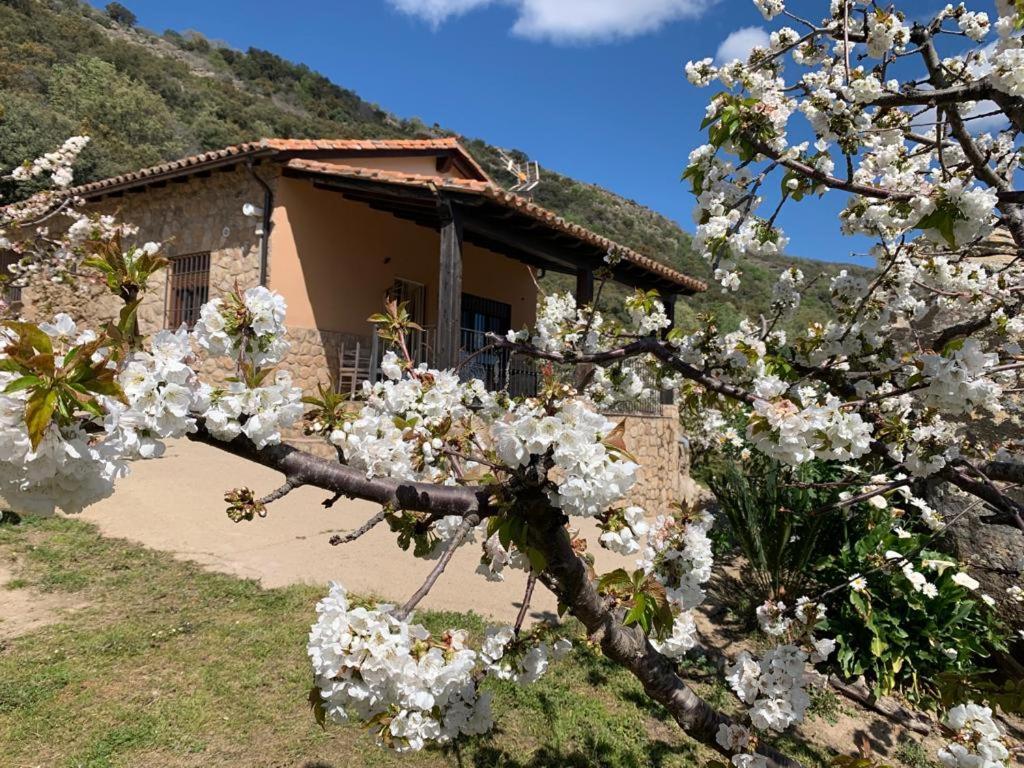 Casa Rural Canchal Madroñeras *** - Housity