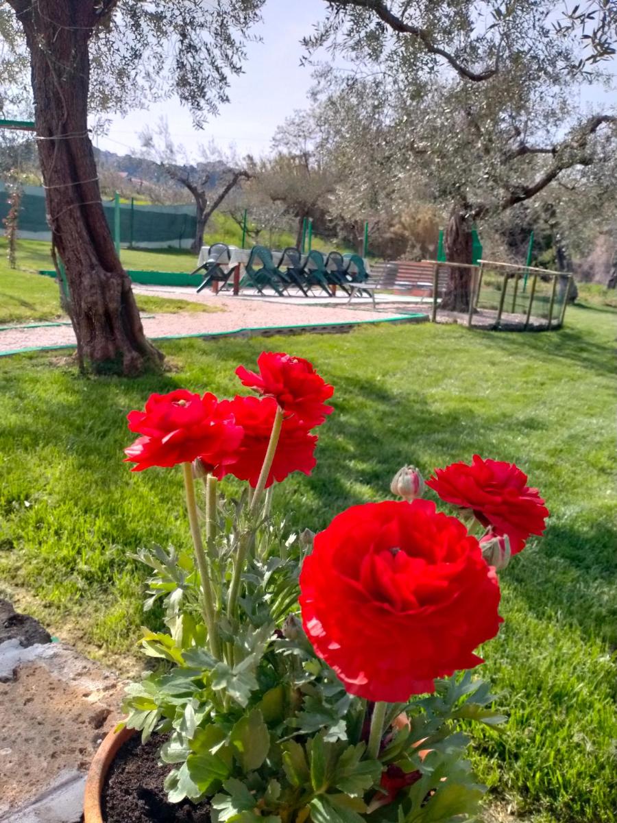 Azienda Agricola "Valle dell'Alento" - Housity
