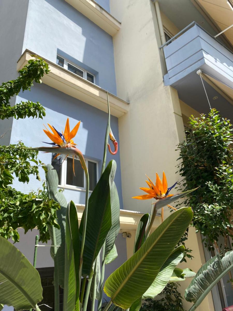 Agrinio ART Suites - Housity