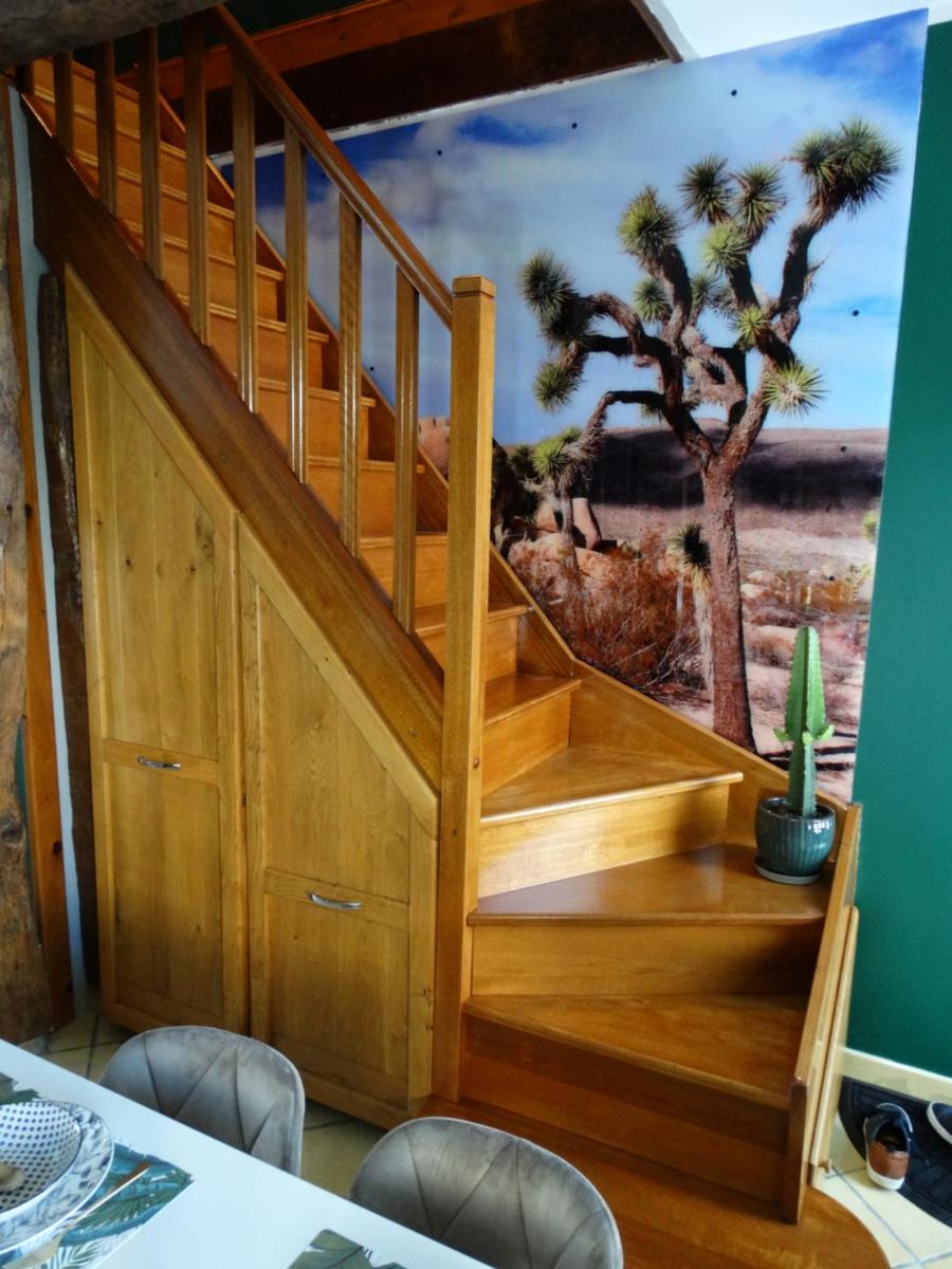 APPARTEMENTY COCO BOLO - Housity