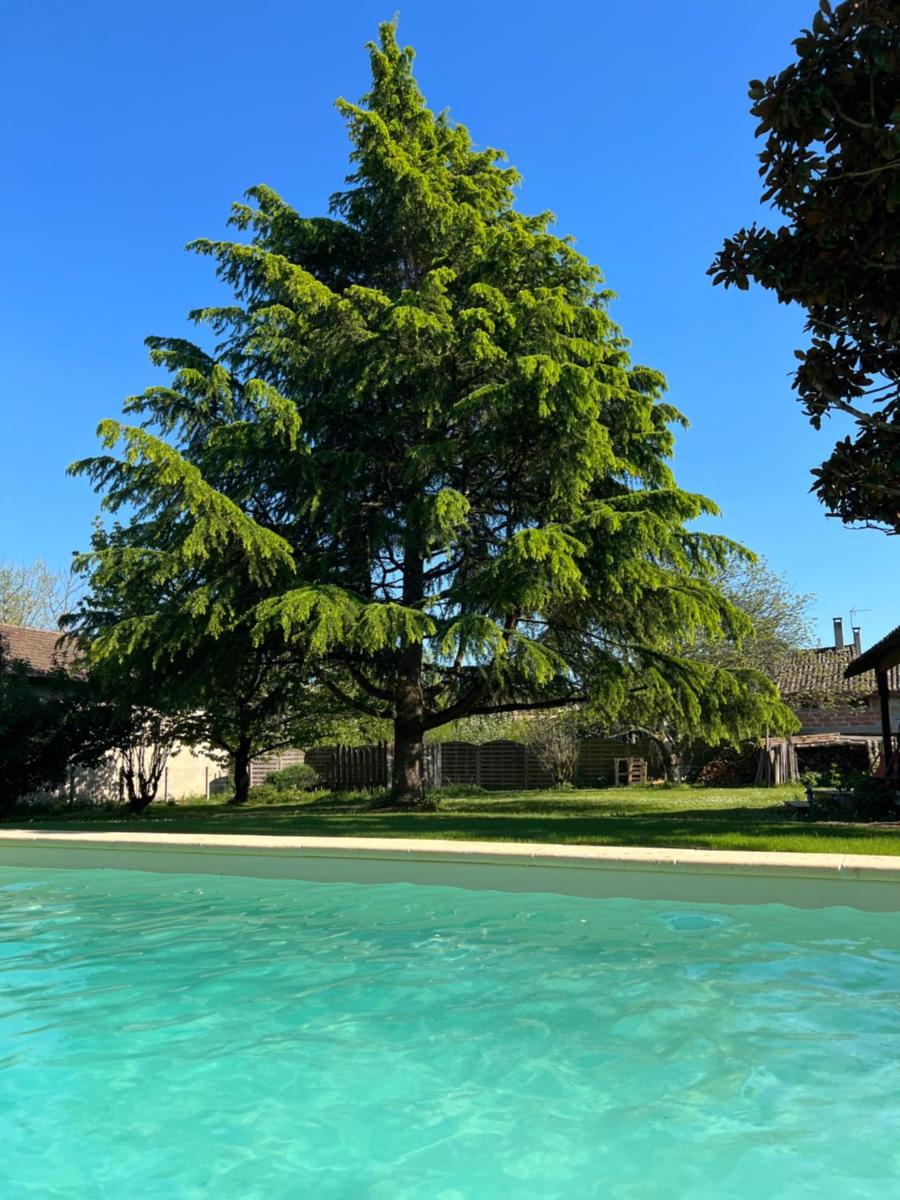 Le Jasmin - Housity