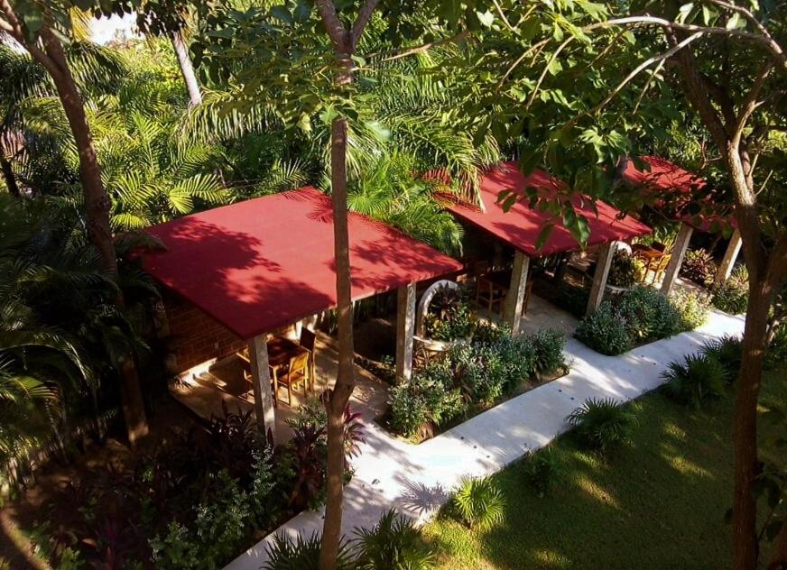 Hotel Casa de Lirio Diamante - Housity