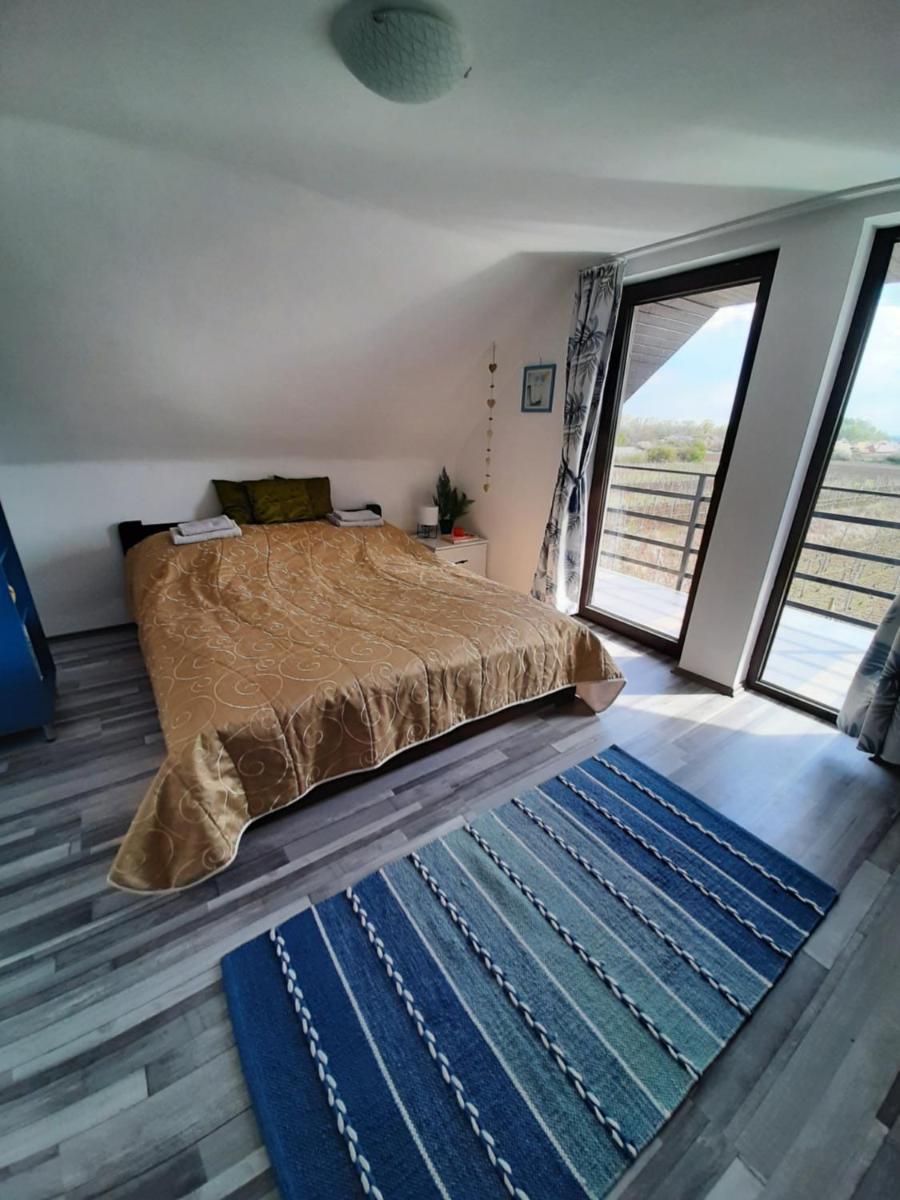 Grapeline Guesthouse - Housity