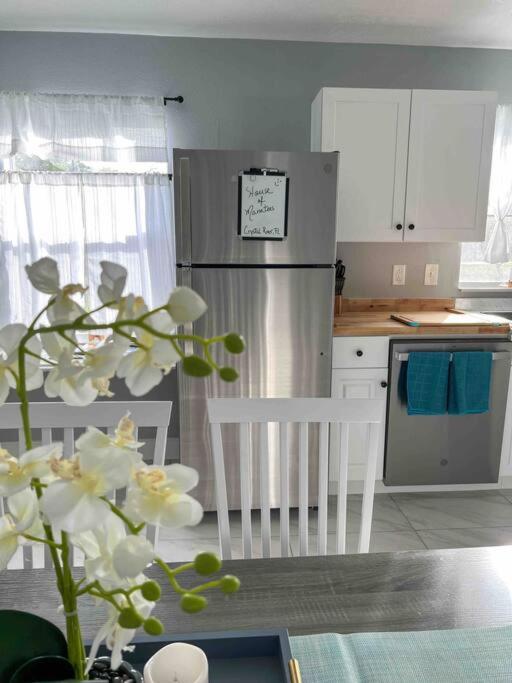 House of Manatees-Entire house with yard, fire pit, dog friendly - Housity