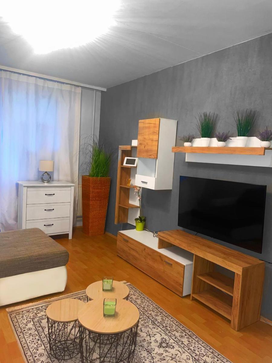 Lovely 1 Bedroom apartment close to Debrecen University - Housity