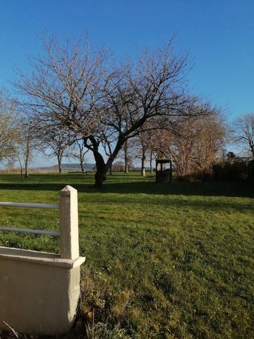 Le Tiluce - Housity