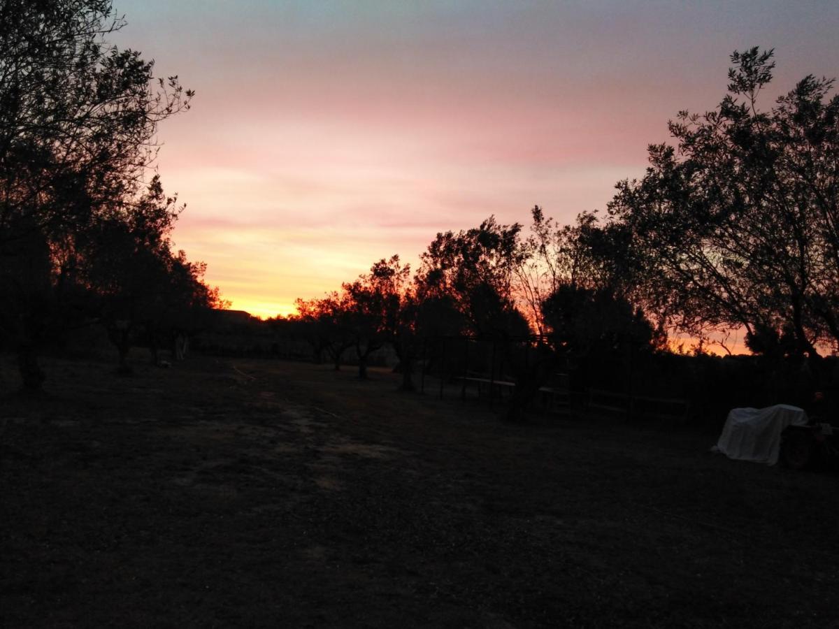 The Fool and The Princess ~Wooden Houses~ - Housity