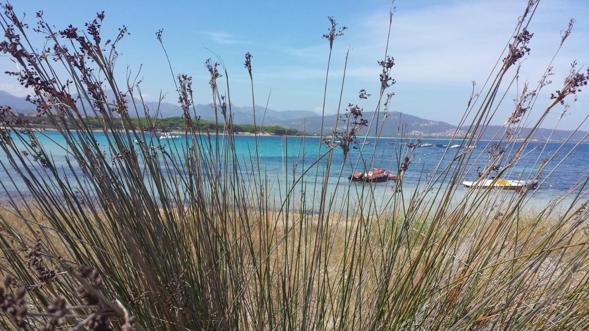 Hotel Cala Mirto - Housity