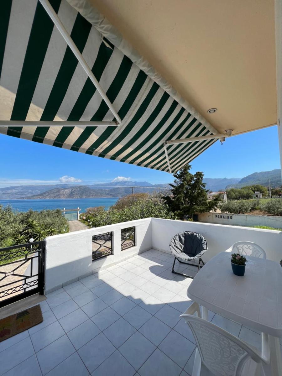 Alepochori Seaside Village - Housity