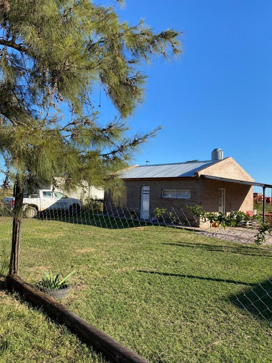 El Pino - Housity