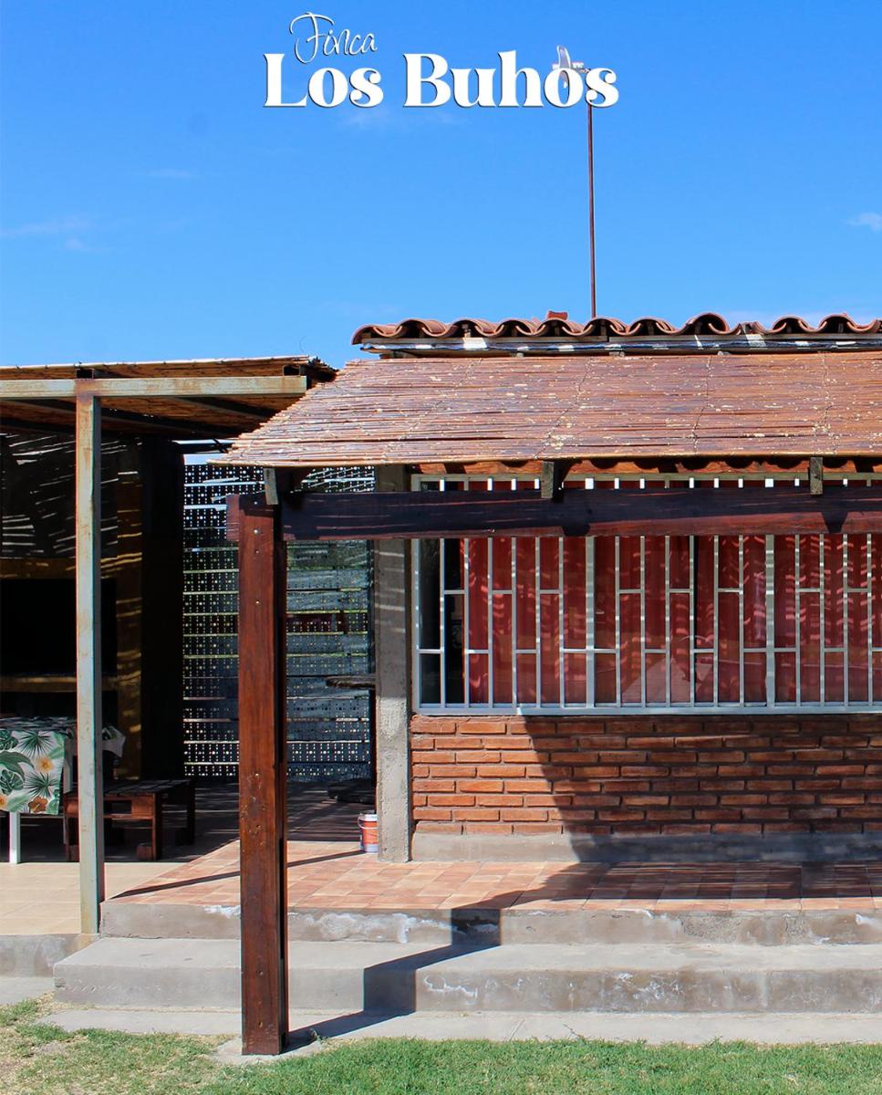 Los Búhos - Housity