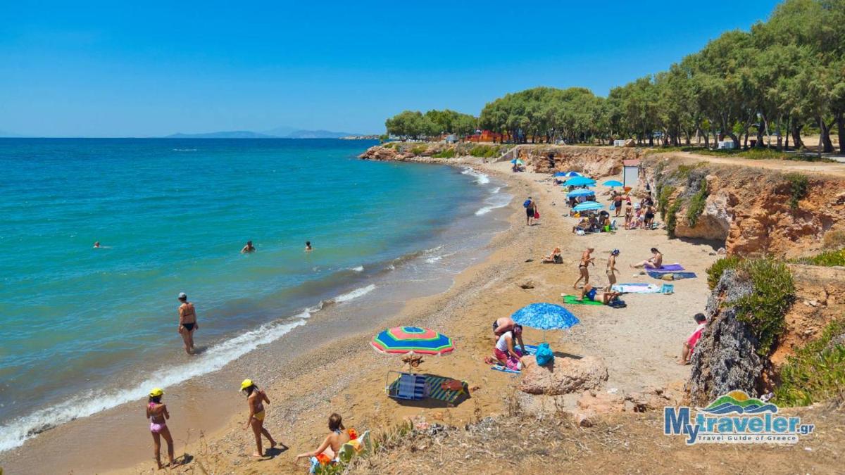 Beach Front Garden Studio in Voula - Athenian Riviera - Housity