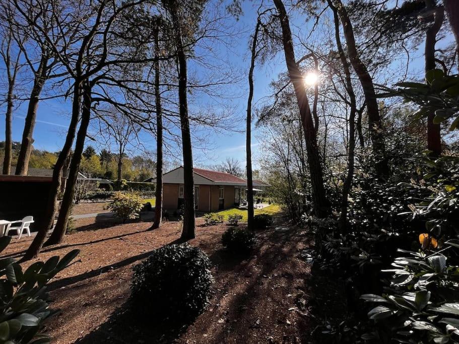Fijne plek met eigen bos 2000m2 en GRATIS linnen en handdoeken!! - Housity