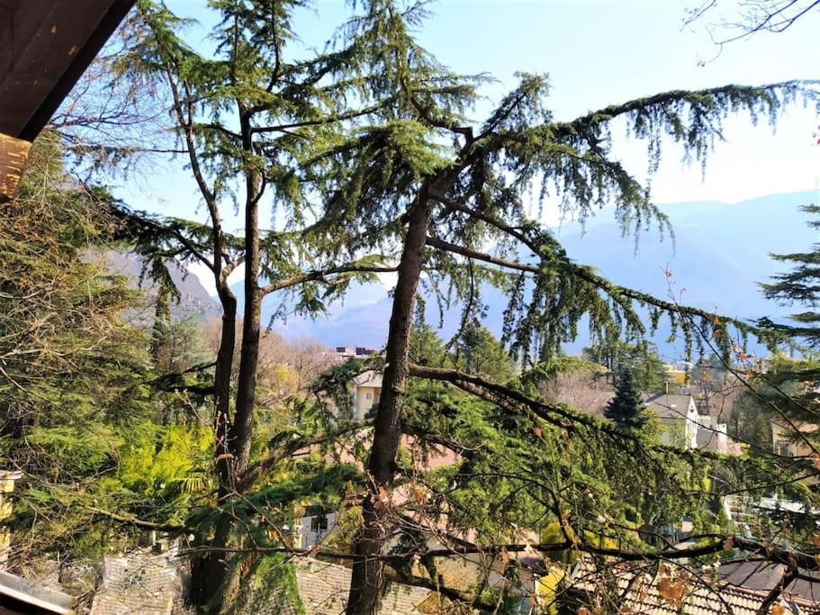 TORRE GARDEN HOME - casa singola nella città di Bolzano con giardino privato - Housity