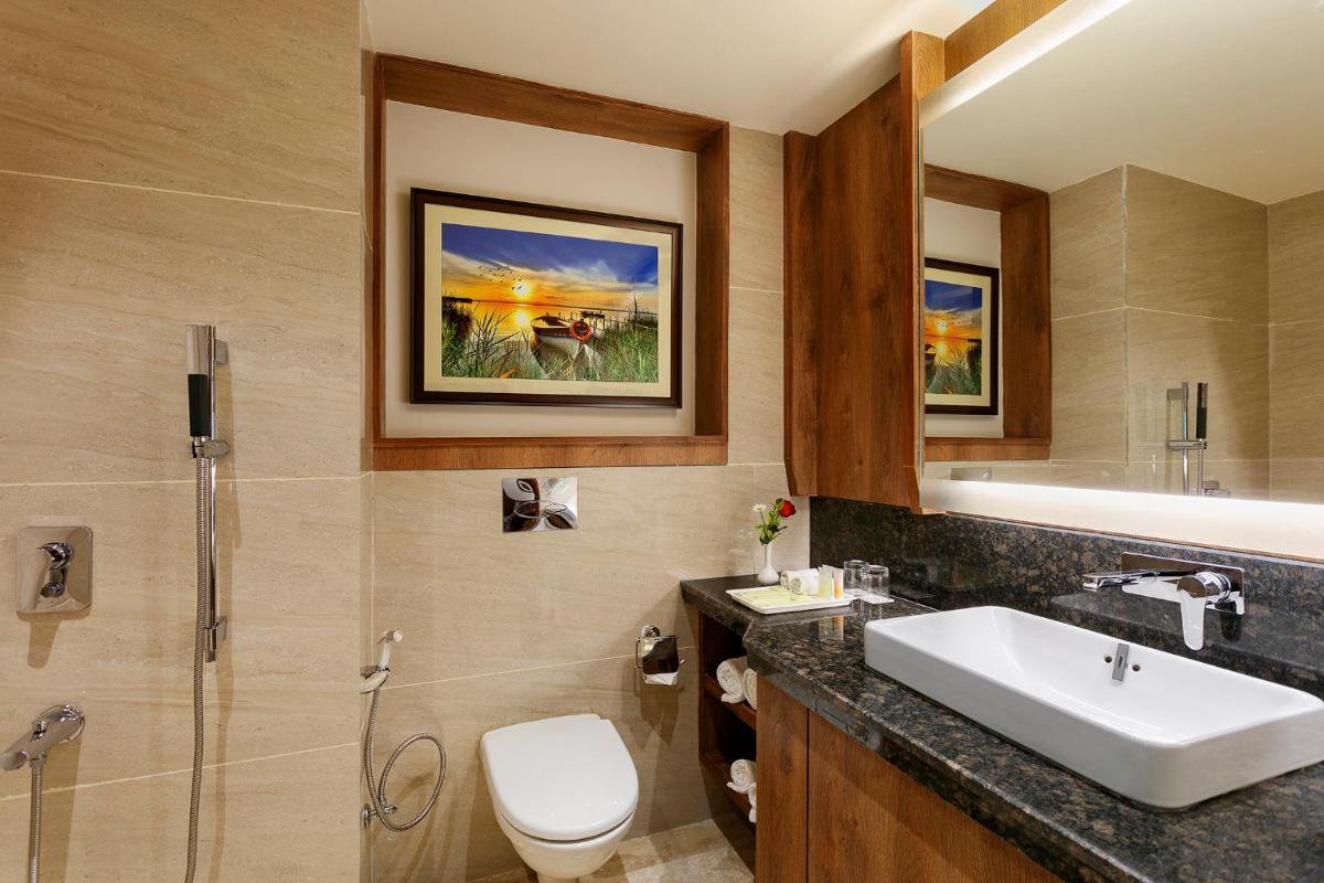 a bathroom with a sink and a toilet and a mirror at The Orchid Manali - a Boutique Hotel in Manāli a bathroom with a sink and a toilet and a mirror at The Orchid Manali - a Boutique Hotel in Manāli