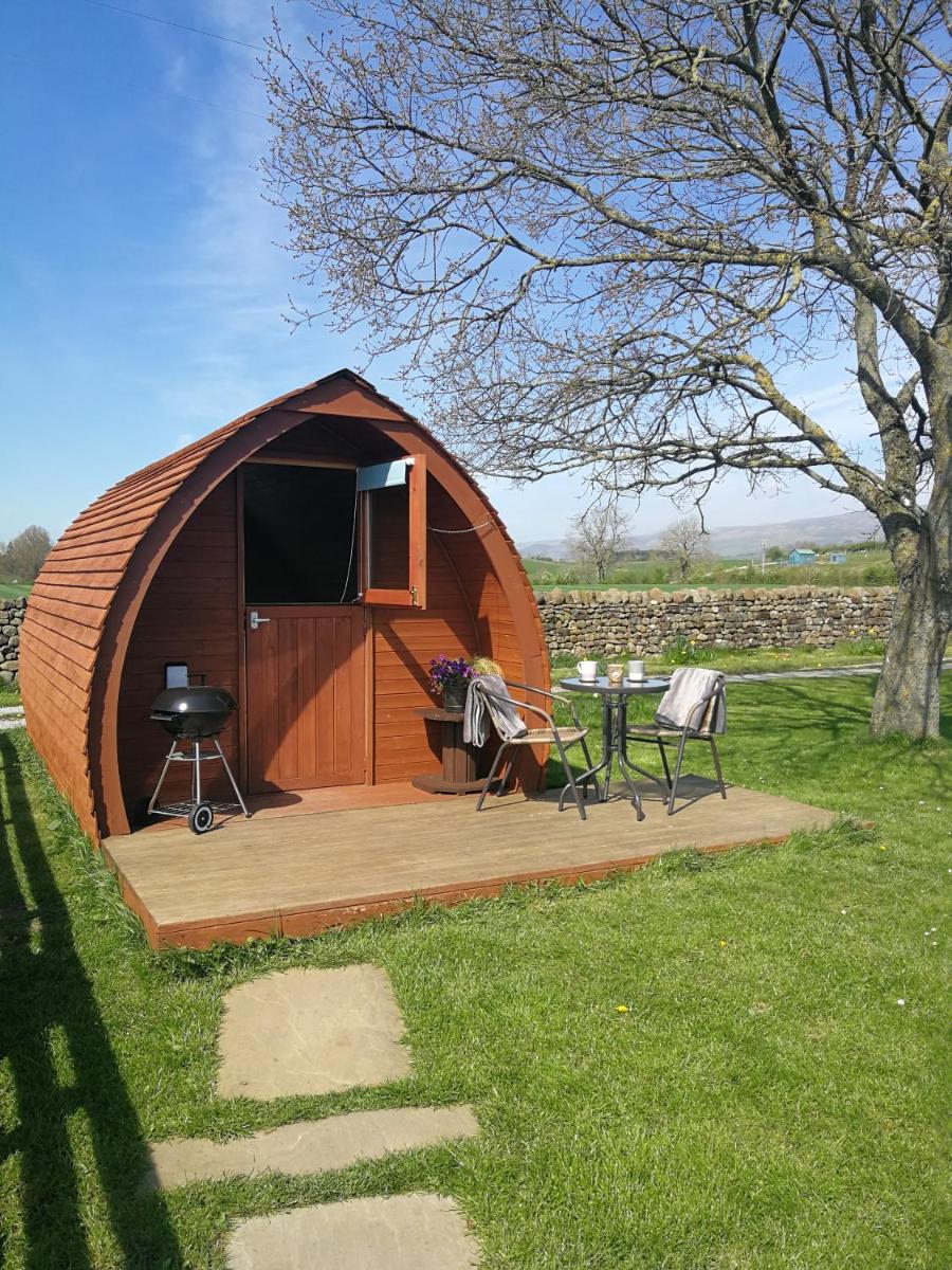 Sunny Mount Glamping Pod - Housity