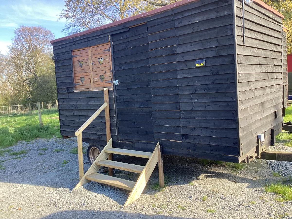 Vigo Retreat cabin 2 - Housity