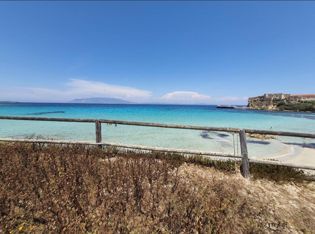 Vanessa Paradise Isola D'Elba - Housity