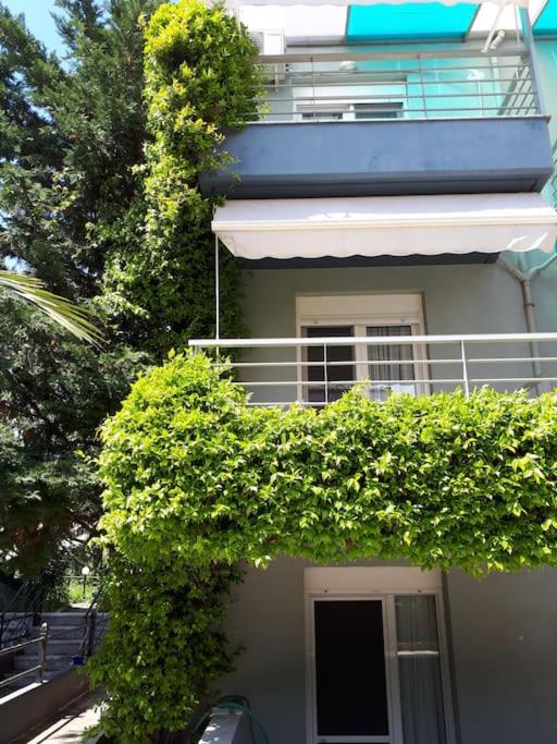 Fanari summer house 2 floors - Housity