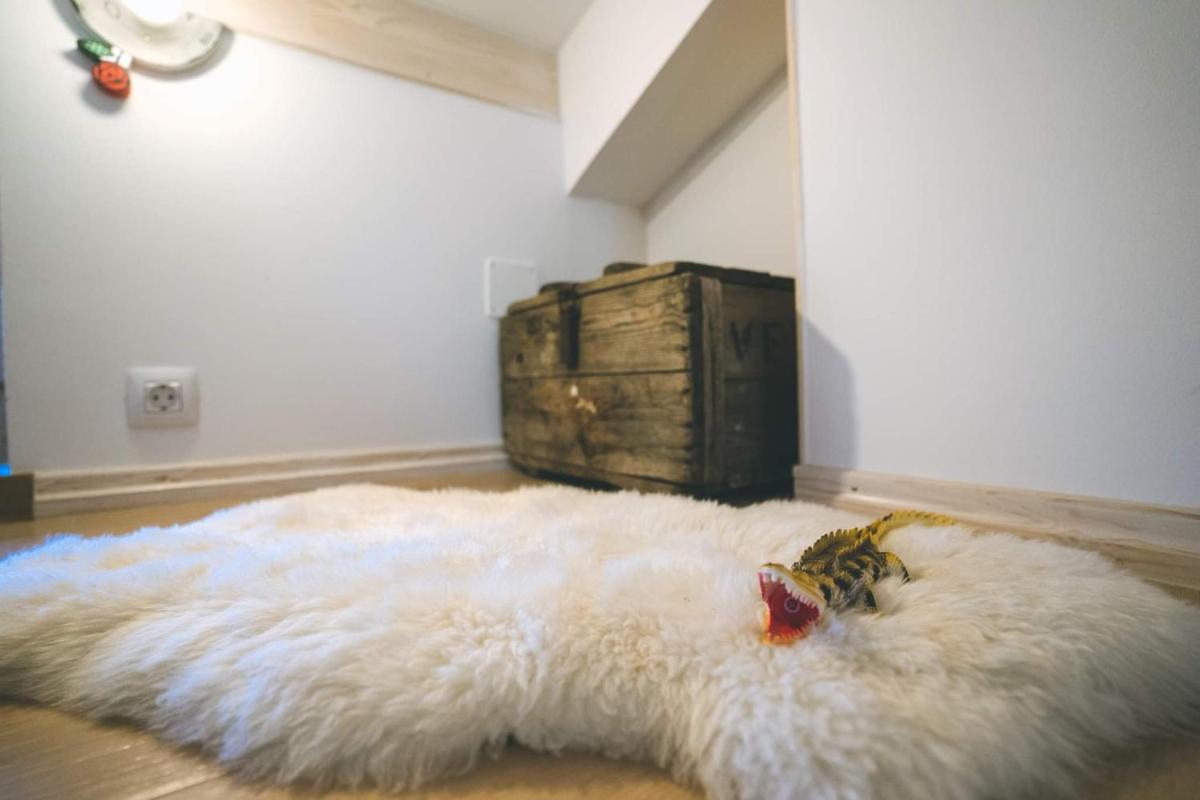 Little prince - Your Holiday home on Cres - Housity