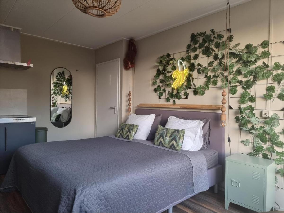 The Jungle - duo studio with kingsize terrace - Housity