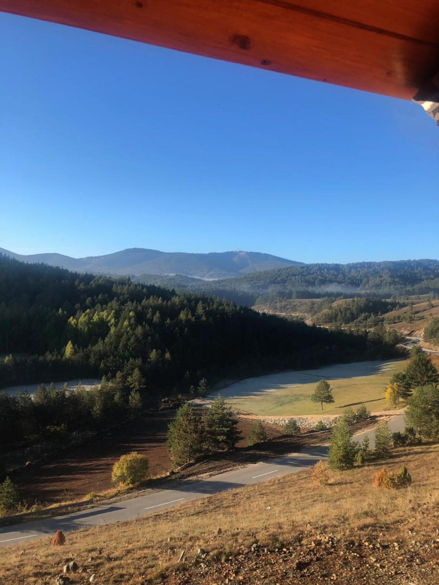 Brvnare Grujić Zlatibor - Housity