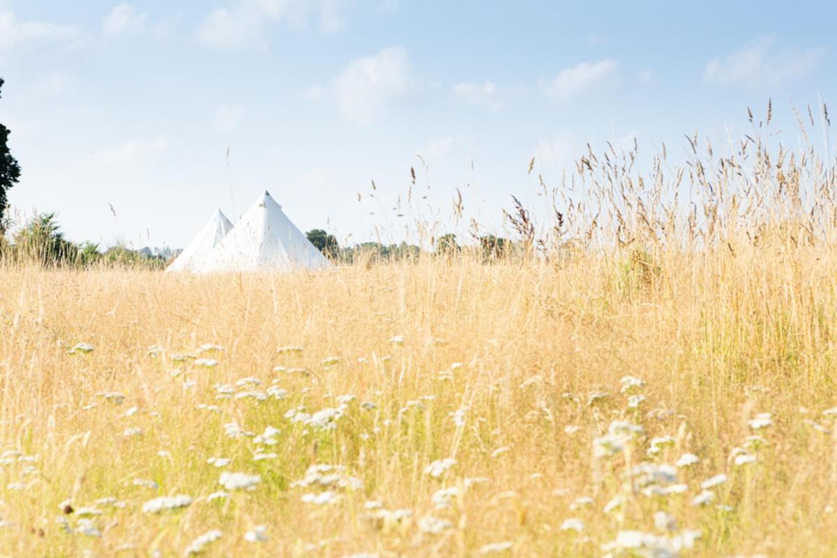 Poppy - Wooden Glamping Pod - Housity