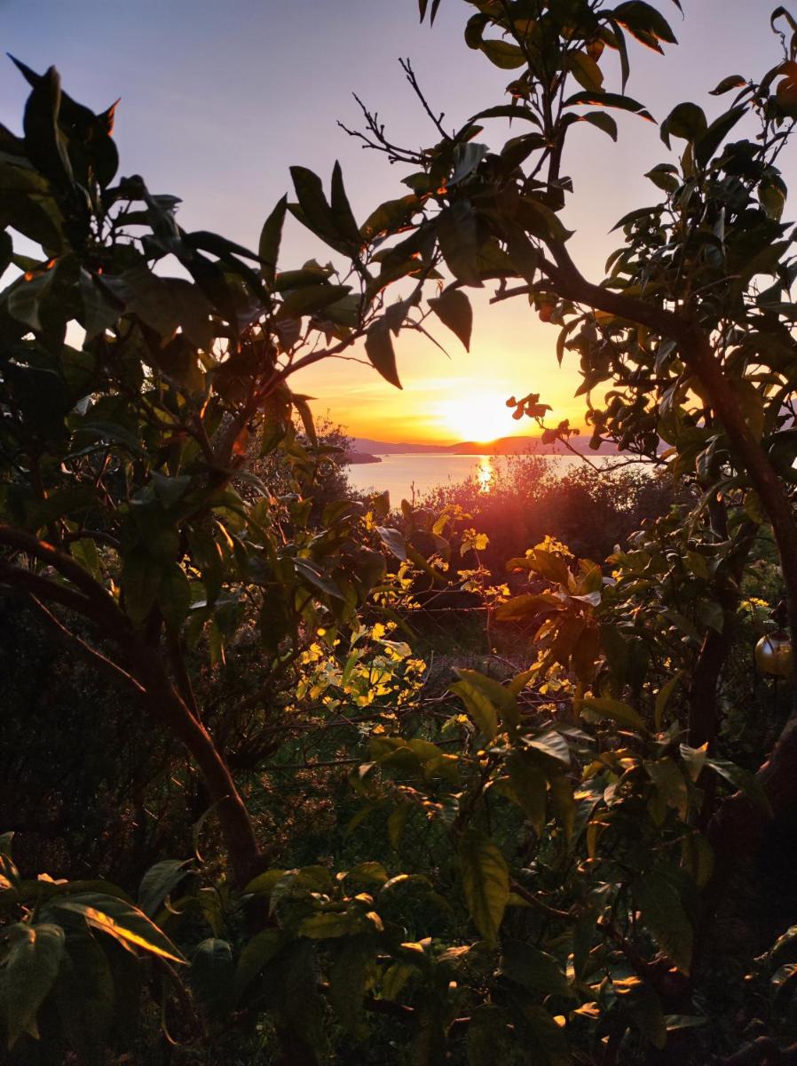 Dream View Apartments Dalmatia - Housity