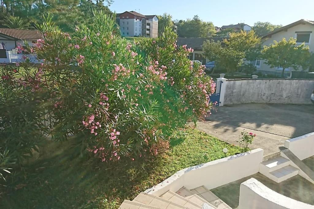 Appartement T3 3 étoiles à 4 km de la plage - Housity
